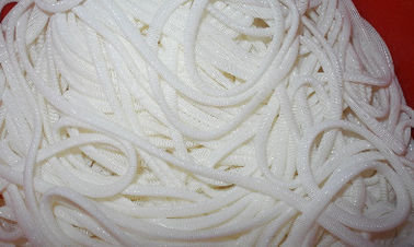 大きいポリエステル螺線形の網の単繊維ポリエステル網の白および青