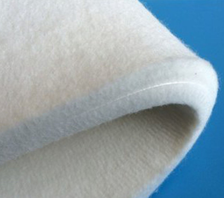化学繊維無限のNomexはベルト毛布を2つの層感じた